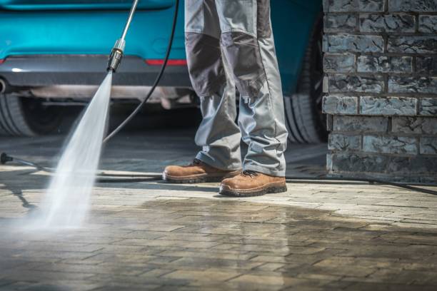 Best Sidewalk and Walkway Cleaning  in Waldron, AR